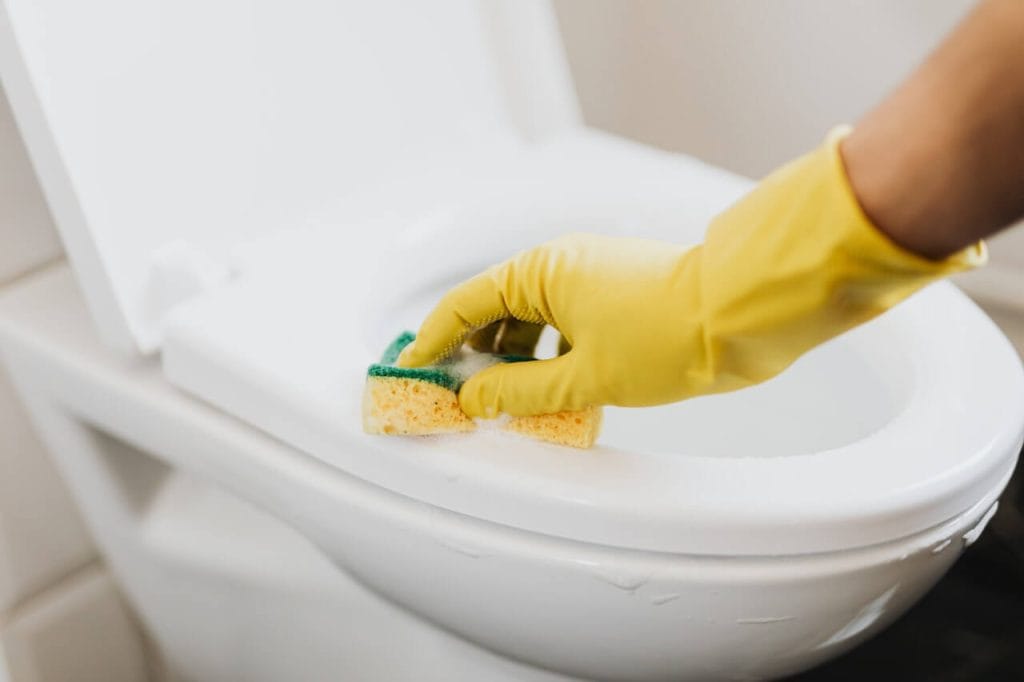 English words related to toilet any learner of English needs to know
